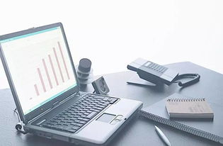 蒜你完 變 蒜你棒 拼多多助力農村電商 拼 出新思路